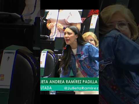 Este 2023 fue un año de arduos debates en la Cámara de Diputados.Les comparto algunos momentos...