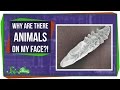 Understanding Demodex Mites