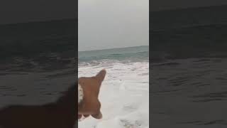 #viral #trending