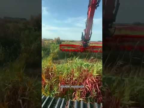 20 октября 2025 г.