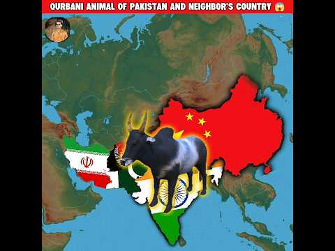 Qurbani Animal Of Pakistan and neighbor's country 😱#facts#shorts#qurbani