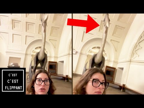 Elle CAPTURE L'IMPOSSIBLE : un dinosaure qui BOUGE (Vidéos qui fait peur et paranormal)