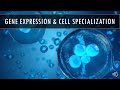 Gene Regulation and Expression Concepts