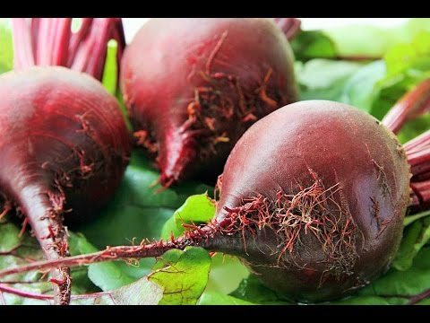 Как Быстро Сварить СВЕКЛУ. Два способа. How to cook the beets for 12 min.