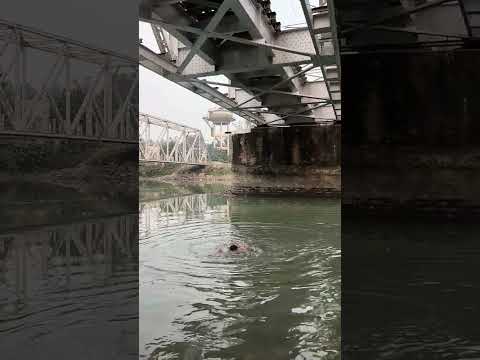 Apna log ka samna duba #hindisong #bollywood #song #love #bollywoodsongs