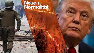 NEUE Normalität: Der Talk LIVE