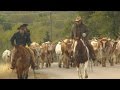 Cattle Drive Knowledge Assessment