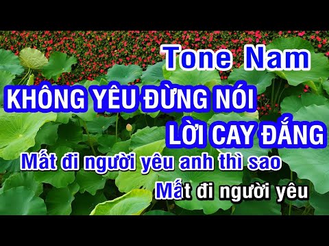 KARAOKE Không Yêu Đừng Nói Lời Cay Đắng Tone Nam | Nhan KTV