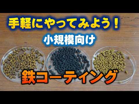 【米づくりの省力化】はじめての鉄コーティング 特徴とやり方