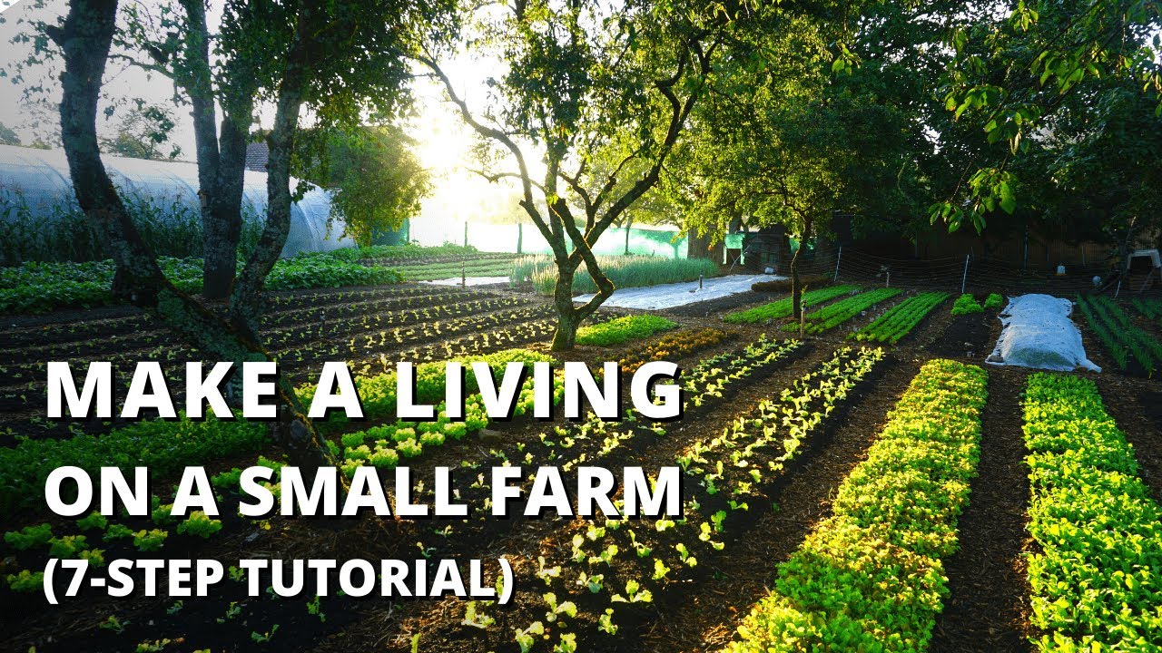 How to Start a Farm From Scratch (Beginner’s Guide to Growing Vegetables for Profit)