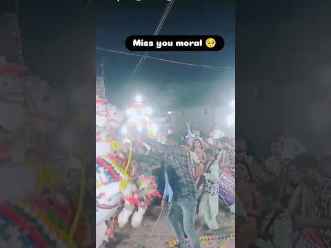 Moral #horse #horsetrack #trending #horsecare #horselove #kathiyawadi#horseriding