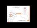 Rights and Responsibilities of Citizens