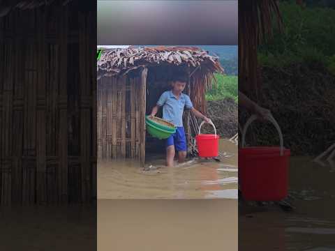 Fleeing from the Great Flood #rain#storm #life #bamboohouse #nature#livewithnature #flood