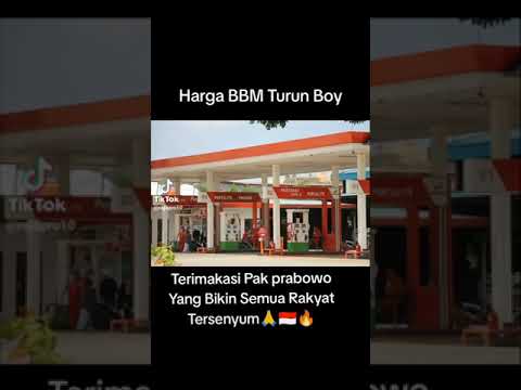 15 November 2024(3)