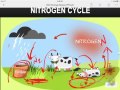 EOC Ecology Review Insights