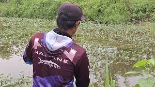 Greatest fishing videos of all time 🎣 #fishing