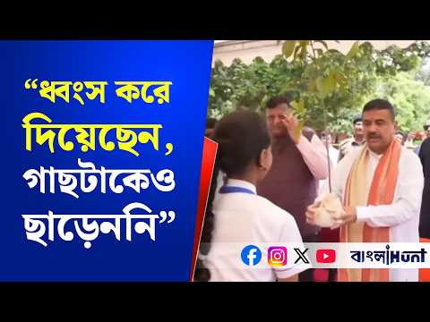 চলতি বছরে ১০ কোটি গাছ লাগাতে হবে, বজ্রপাত থেকে রক্ষা পেতে নারকেল গাছ লাগানোর পরামর্শ মুখ্যমন্ত্রীর