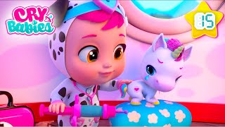 Animalele Bolnave Primesc Ajutor De la Dotty Din Cry Babies 🤒| Cry Babies în română 👶