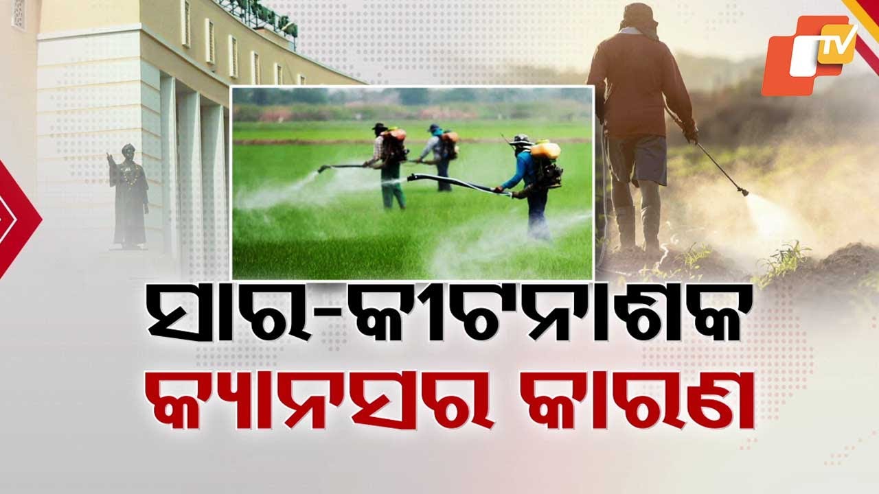 Excessive Use of Pesticides and Chemical Fertilizers Linked to Rising Cancer Cases