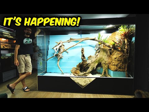 FIRST LIFE in the BRAND NEW JUNGLEARIUM!