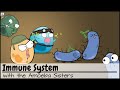 Immune System Function and Response