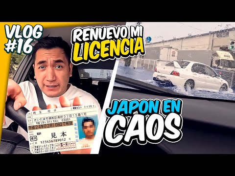 VIVIR EN JAPON | Mi ciudad se INUNDO + Asi es renovar LICENCIA de CONDUCIR ! - Ep 16