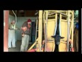 Cattle Management and Health Practices