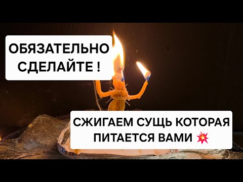 🪐 Сжигаем сущь которая портит вам жизнь, питается вашей энергией, а вас тянет в низ.