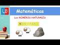 Understanding Natural Numbers