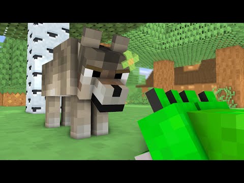 WOLF LIFE: MOMMY HATES POOR PUPPY BECAUSE HE IS DIFFERENT