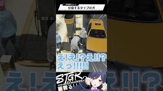 分身するタイプの犬 | ストグラ | 静凛 #shorts