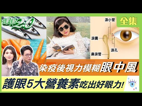 染疫後視力模糊竟眼中風！黃金6小時搶救眼中風 這裡阻塞最凶險！青光眼眼壓高嚴重恐失明！防乾眼症按5穴4藥疹！護眼不隻葉黃素 5大營養素吃出好眼力！健康2.0 20221001 (完整版)