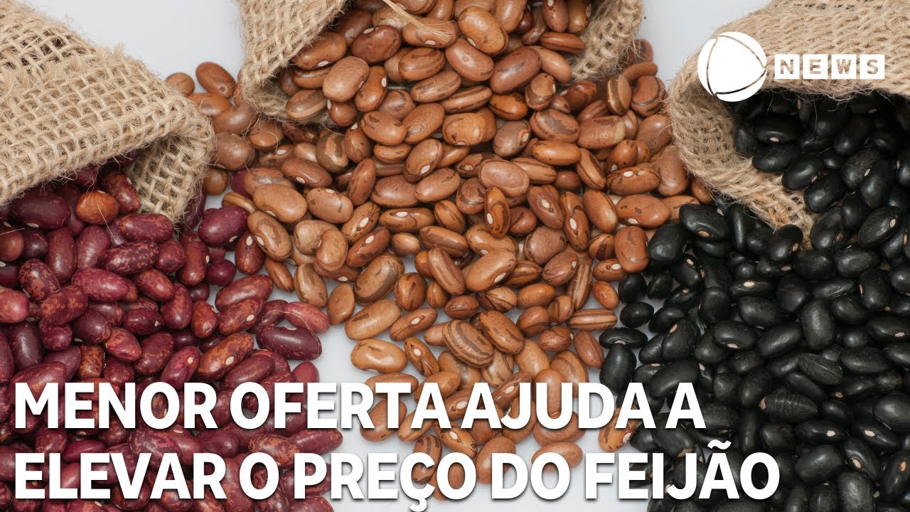 Menor oferta ajuda a elevar o preço do feijão