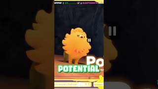 Pokemon WiWa predictions