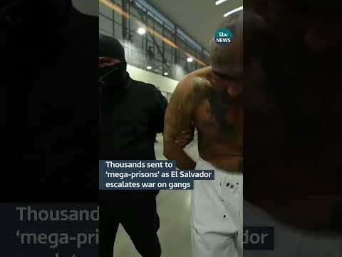 Thousands sent to ‘mega-prisons’ as El Salvador escalates war on gangs #itvnews #elsalvador