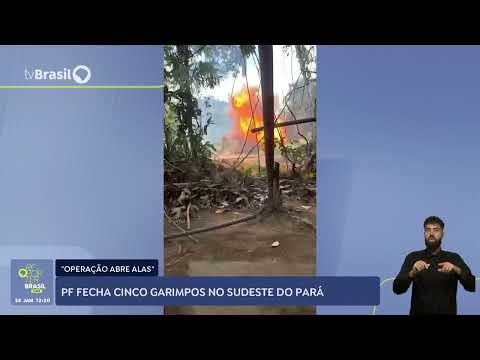 PF fecha cinco garimpos no Pará