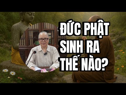 Phật học Phổ thông: Bài 2 - Lược sử cuộc đời Đức Phật Thích ca