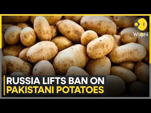 Russia Lifts Ban on Pakistani Potatoes | WION News