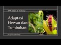 Kuis Adaptasi Hewan dan Tumbuhan