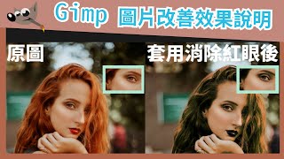 【免費修圖】GIMP第六集 改善圖片效果工具  消紅眼去除雜點