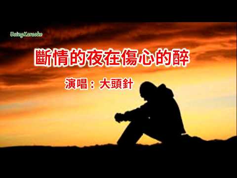 斷情的夜在傷心的醉-大頭針-演唱 KARAOKE