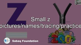 Small z (pictures/names/tracing/practice)
