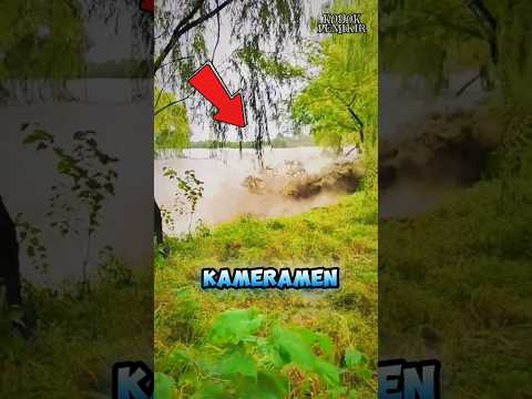 Ini Kenapa KAMERAMEN Selalu Selamat ‼️🎥
