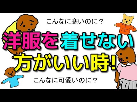 【犬 防寒対策 洋服】愛犬の寒いですメッセージ！洋服を着せた方がいい時！着せない方がいい時！犬のしつけエマチャンネル【犬のしつけ＠横浜】