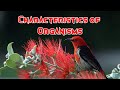 Characteristics and Movements of Organisms