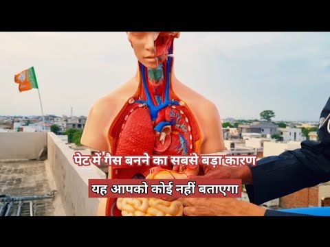 पेट में गैस बनने का सबसे बड़ा कारण