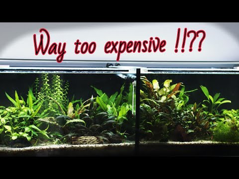 IS AQUARIUM HOBBY DYING? There have been several major challenges for our hobby within past few years and another ones are ri
