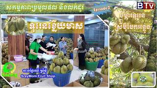 AGRICULTURE/កសិកម្ម : ទុរេនខ្នើយមាស ចម្ការទុរេនស្រីមុំ បែកអន្លូង  "Durian SreyMom"  Vol. 02