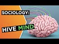 Understanding the Hivemind