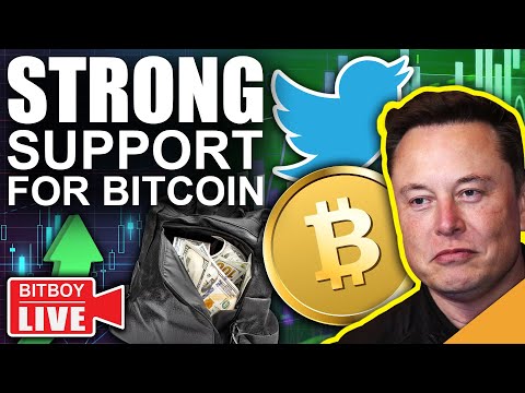 Elon Musk Becomes Twitters LARGEST Shareholder! (Bitcoin Above Strong Support)